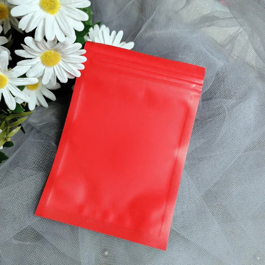 Frostade plastpåsar med dragkedja för nagelverktyg och press-on naglar